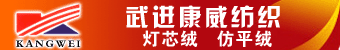 武进康威纺织